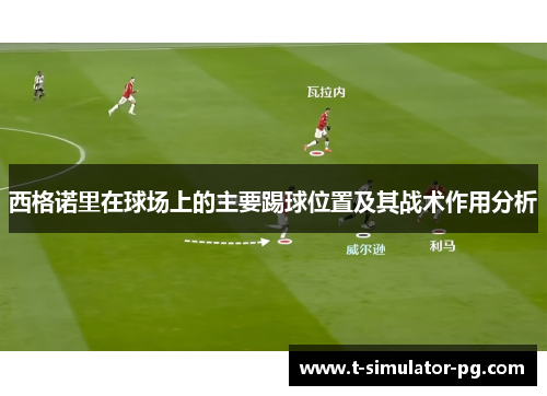 西格诺里在球场上的主要踢球位置及其战术作用分析 西格诺里在球场上的主要踢球位置及其战术作用分析
