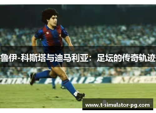 鲁伊-科斯塔与迪马利亚：足坛的传奇轨迹