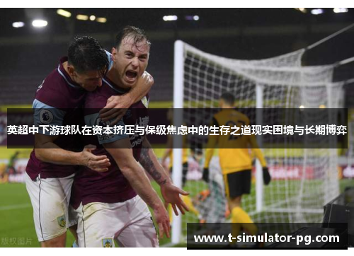 英超中下游球队在资本挤压与保级焦虑中的生存之道现实困境与长期博弈 英超中下游球队在资本挤压与保级焦虑中的生存之道现实困境与长期博弈